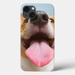 Getty Afbeeldingen Heel Happy Corgi iPhone 13 Hoesje