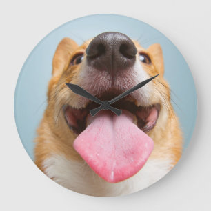 Getty Afbeeldingen Heel Happy Corgi Grote Klok