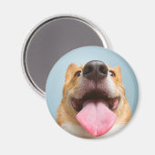 Getty Afbeeldingen | Heel Happy Corgi Magneet (Voorkant / Achterkant)
