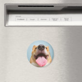 Getty Afbeeldingen | Heel Happy Corgi Magneet (Insitu (Vaatwasser))