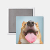 Getty Afbeeldingen | Heel Happy Corgi Magneet (Voorkant / Achterkant)