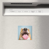 Getty Afbeeldingen | Heel Happy Corgi Magneet (Insitu (Vaatwasser))