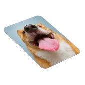 Getty Afbeeldingen | Heel Happy Corgi Magneet (Rechterzijde)