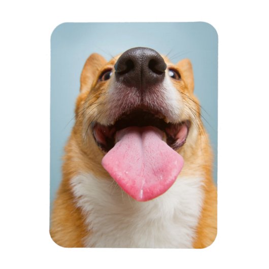 Getty Afbeeldingen | Heel Happy Corgi Magneet (Verticaal)