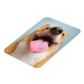 Getty Afbeeldingen | Heel Happy Corgi Magneet (Linkerzijde)