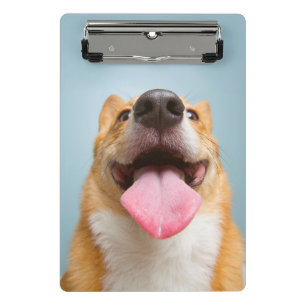 Getty Afbeeldingen Heel Happy Corgi Mini Klembord
