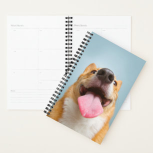Getty Afbeeldingen   Heel Happy Corgi Planner