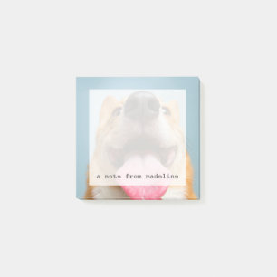 Getty Afbeeldingen Heel Happy Corgi Post-it® Notes