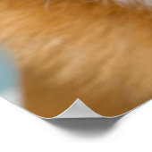 Getty Afbeeldingen | Heel Happy Corgi Poster (Hoek)