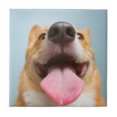 Getty Afbeeldingen | Heel Happy Corgi Tegeltje (Voorkant)