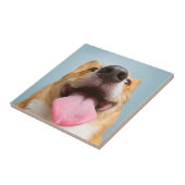 Getty Afbeeldingen | Heel Happy Corgi Tegeltje (Zijkant)