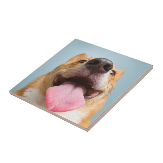 Getty Afbeeldingen | Heel Happy Corgi Tegeltje (Zijkant)