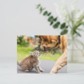 Getty Afbeeldingen | Hond en kat in liefde Briefkaart (Staand voorkant)