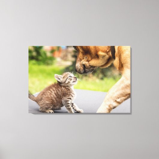 Getty Afbeeldingen | Hond en kat in liefde Canvas Afdruk (Voorkant)