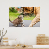 Getty Afbeeldingen | Hond en kat in liefde Poster (Keuken)