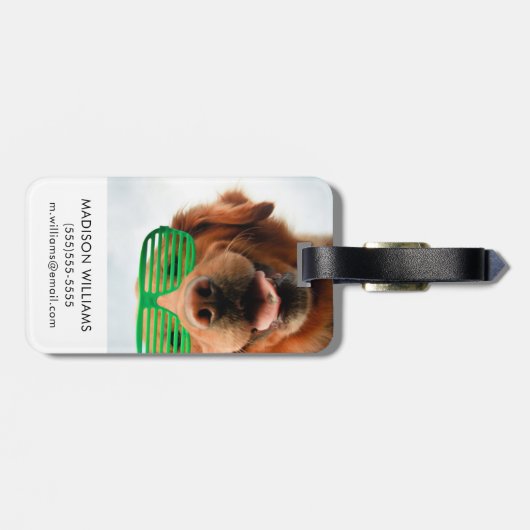 Getty Afbeeldingen | Hond met bril Bagagelabel (Achterkant horizontaal)