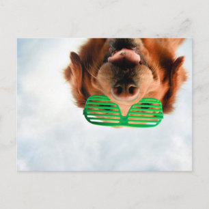 Getty Afbeeldingen Hond met bril Briefkaart