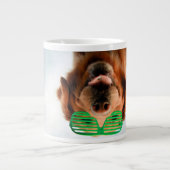 Getty Afbeeldingen | Hond met bril Grote Koffiekop (Voorkant)