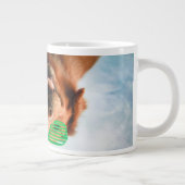 Getty Afbeeldingen | Hond met bril Grote Koffiekop (Rechts)