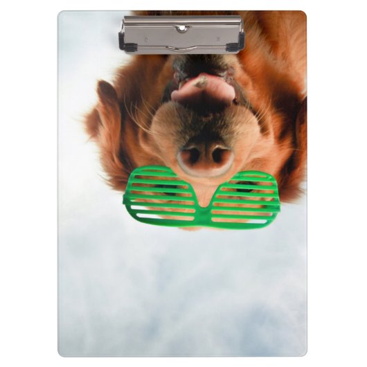 Getty Afbeeldingen | Hond met bril Klembord (Voorkant)