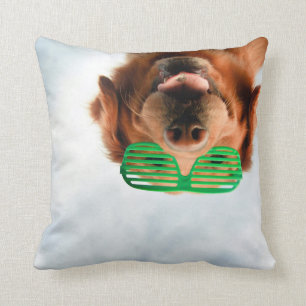 Getty Afbeeldingen   Hond met bril Kussen