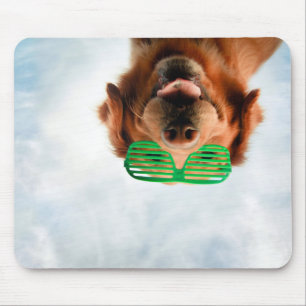 Getty Afbeeldingen Hond met bril Muismat