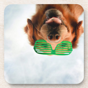 Getty Afbeeldingen Hond met bril Onderzetter