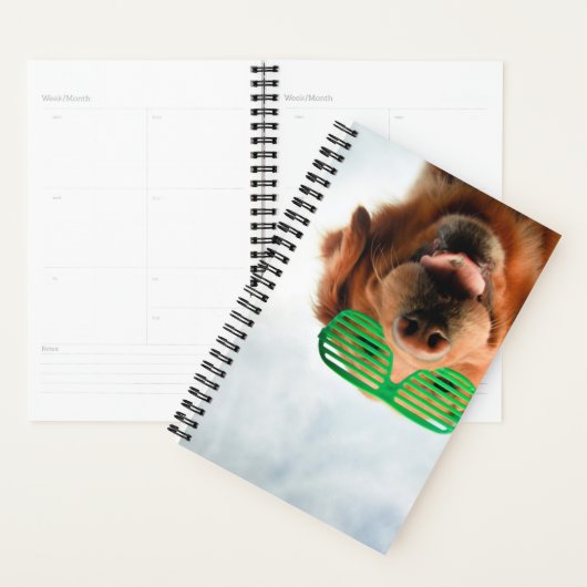 Getty Afbeeldingen | Hond met bril Planner (Display)