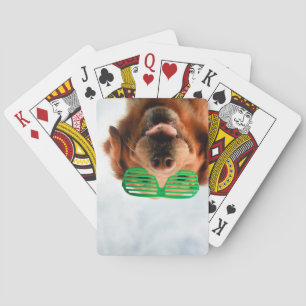Getty Afbeeldingen   Hond met bril Pokerkaarten
