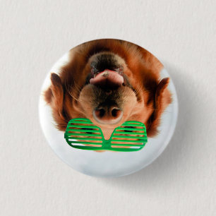 Getty Afbeeldingen   Hond met bril Ronde Button 3,2 Cm
