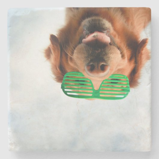 Getty Afbeeldingen | Hond met bril Stenen Onderzetter (Voorkant)