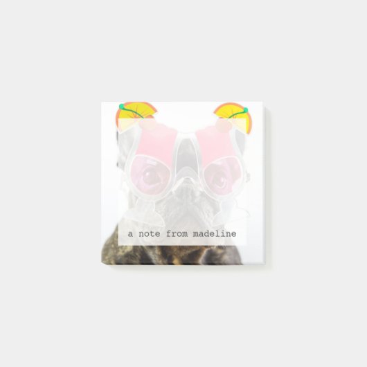 Getty Afbeeldingen | Hond met cocktailglazen Post-it® Notes (Voorkant)