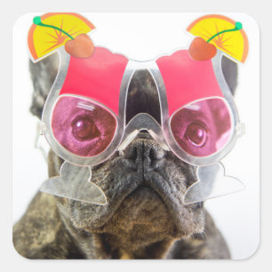 Getty Afbeeldingen Hond met cocktailglazen Vierkante Sticker
