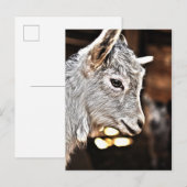 Getty Afbeeldingen | Kleine geit Briefkaart (Voorkant / Achterkant)
