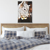 Getty Afbeeldingen | Kleine geit Canvas Afdruk (Insitu (Slaapkamer))