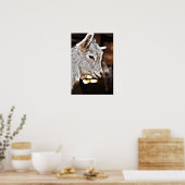 Getty Afbeeldingen | Kleine geit Poster (Keuken)