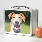 Getty Afbeeldingen | Laughing Dog (In situ)