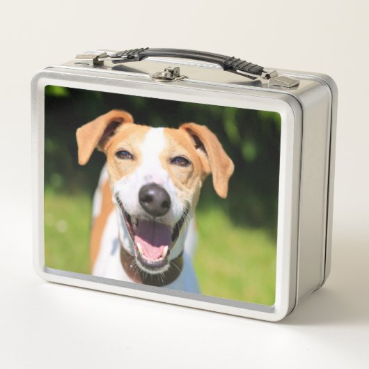 Getty Afbeeldingen | Laughing Dog (Voorkant)