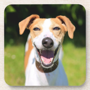 Getty Afbeeldingen   Laughing Dog Bier Onderzetter
