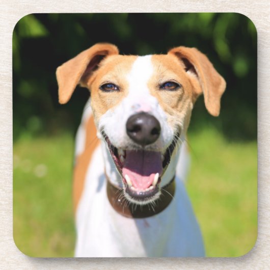 Getty Afbeeldingen | Laughing Dog Bier Onderzetter (Voorkant)