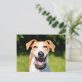 Getty Afbeeldingen | Laughing Dog Briefkaart (Staand voorkant)