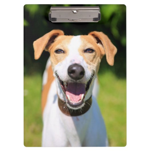 Getty Afbeeldingen | Laughing Dog Klembord (Voorkant)