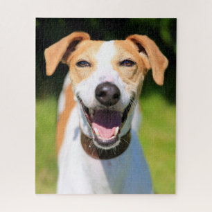 Getty Afbeeldingen   Laughing Dog Legpuzzel
