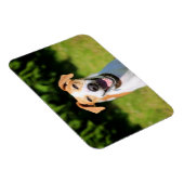 Getty Afbeeldingen | Laughing Dog Magneet (Rechterzijde)