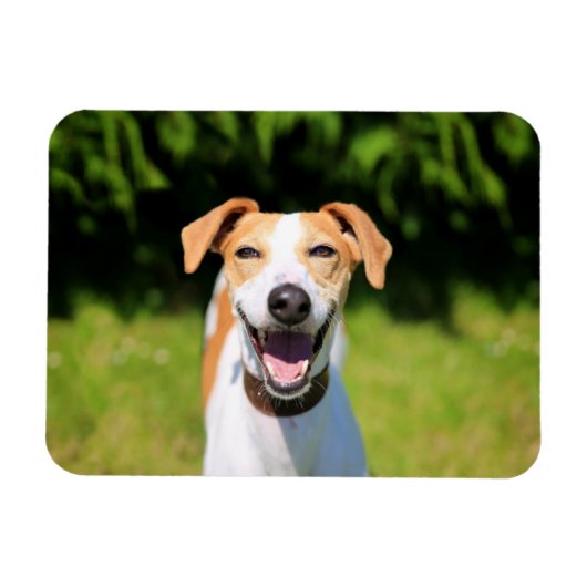Getty Afbeeldingen | Laughing Dog Magneet (Horizontaal)