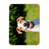 Getty Afbeeldingen | Laughing Dog Magneet (Verticaal)