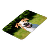Getty Afbeeldingen | Laughing Dog Magneet (Linkerzijde)