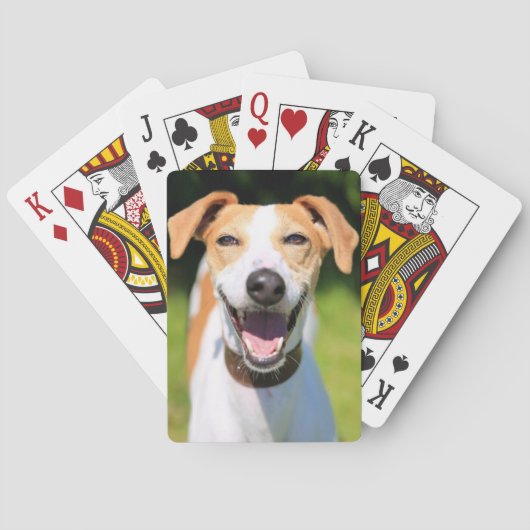 Getty Afbeeldingen | Laughing Dog Pokerkaarten (Achterkant)