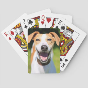 Getty Afbeeldingen   Laughing Dog Pokerkaarten