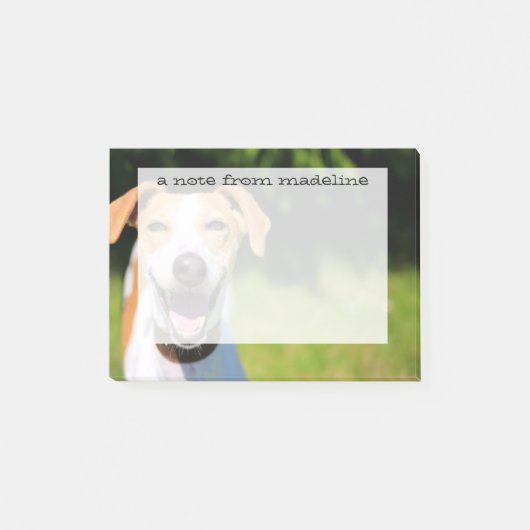 Getty Afbeeldingen | Laughing Dog Post-it® Notes (Voorkant)